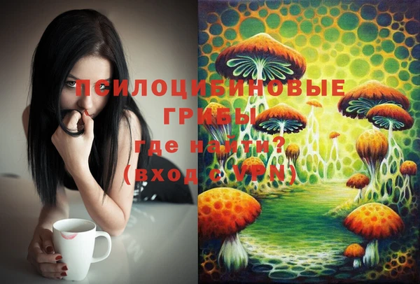 винт Пересвет