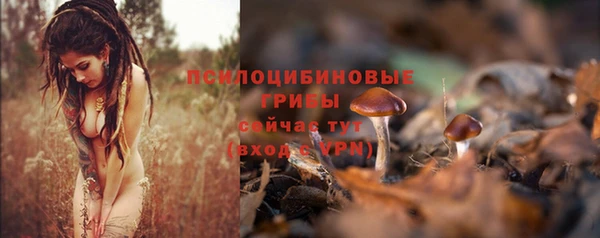 винт Пересвет