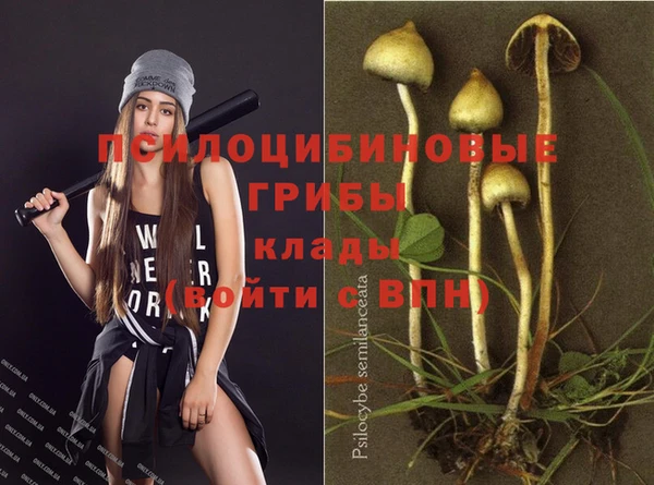 винт Пересвет