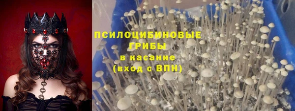 винт Пересвет