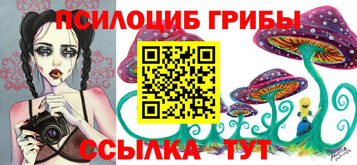 Апатиты  Галлюциногенные грибы Psilocybe  Вход с VPN 