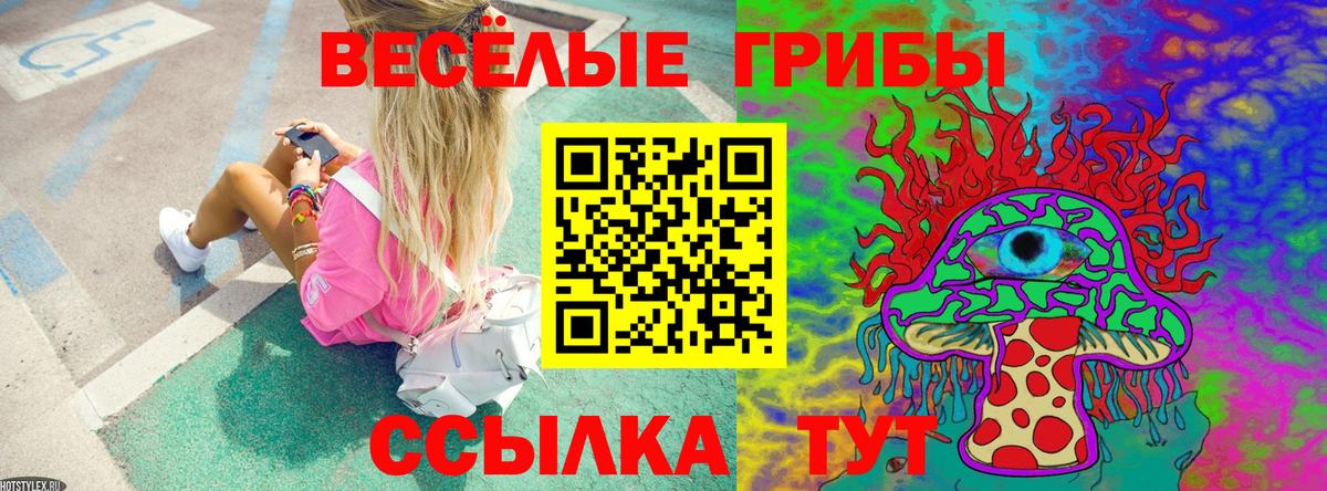 Галлюциногенные грибы мицелий Апатиты