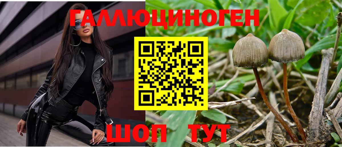 Галлюциногенные грибы ЛСД Апатиты