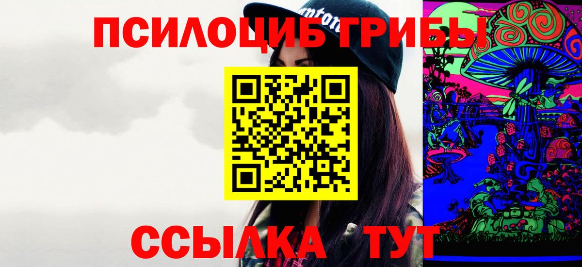 Псилоцибиновые грибы мухоморы  как найти   Апатиты 