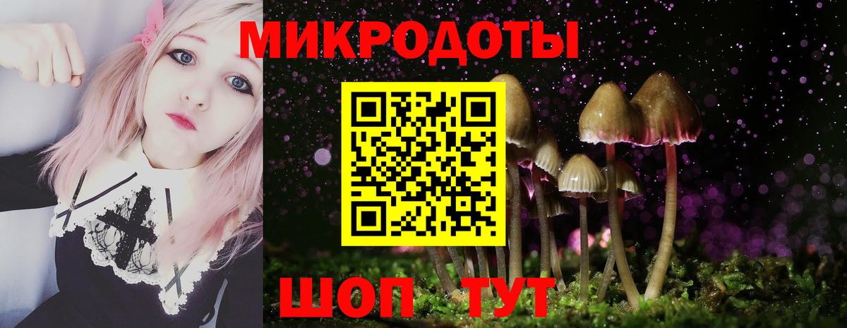 Галлюциногенные грибы GOLDEN TEACHER  Вход с VPN  Псилоцибиновые грибы MAGIC MUSHROOMS  Апатиты 