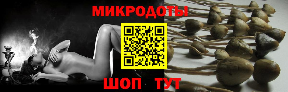 Псилоцибиновые грибы прущие грибы Апатиты